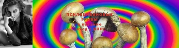 мет Вязники
