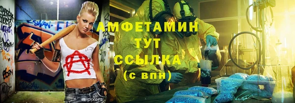 индика Новый Уренгой