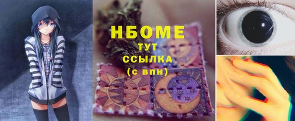 индика Бугульма