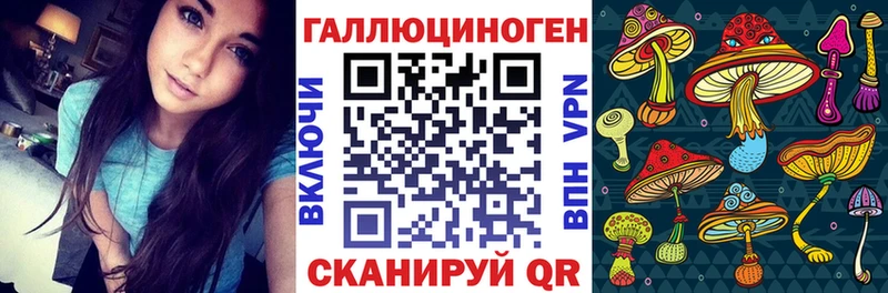 Галлюциногенные грибы мицелий Заволжск